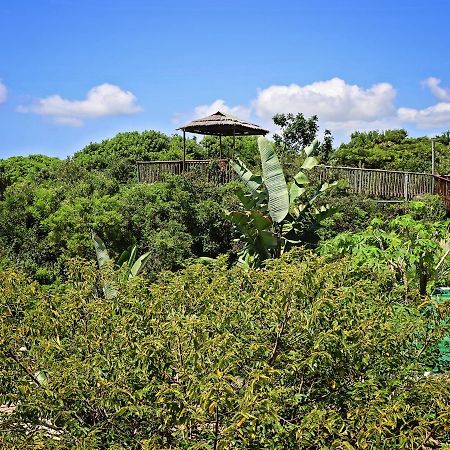 Kosi Bay Lodge Manguzi Εξωτερικό φωτογραφία